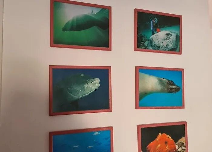 Isabel Апартаменти